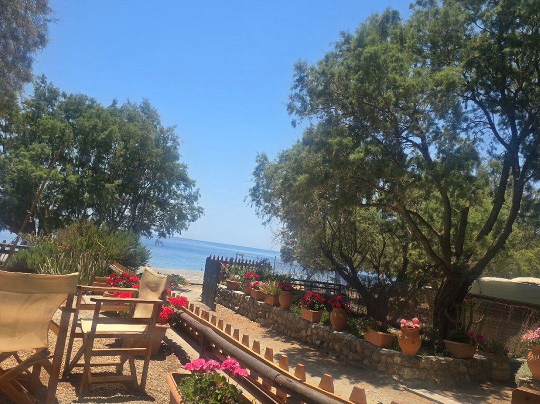 Sougia Beach-Sougia必去景点