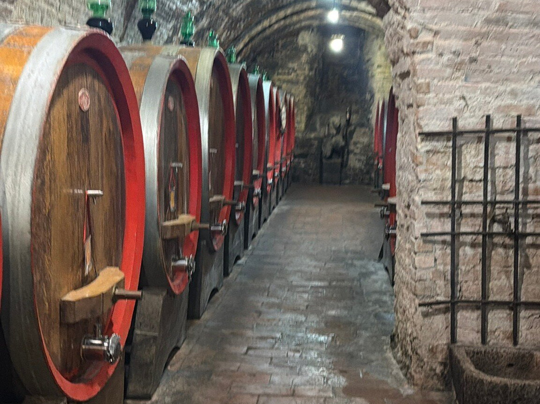 Azienda Agricola Ercolani-蒙特普尔恰诺必去景点