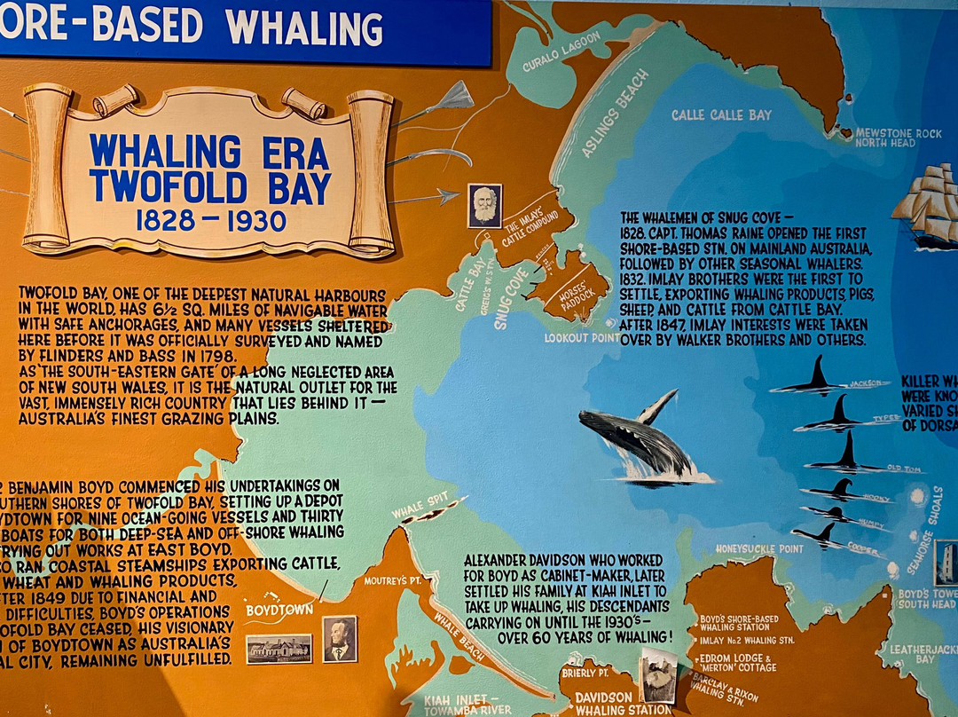 Killer Whale Museum-伊登港必去景点
