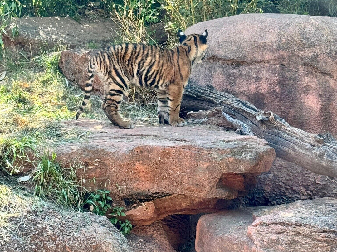 Oklahoma City Zoo and Botanical Garden-俄克拉何马城必去景点