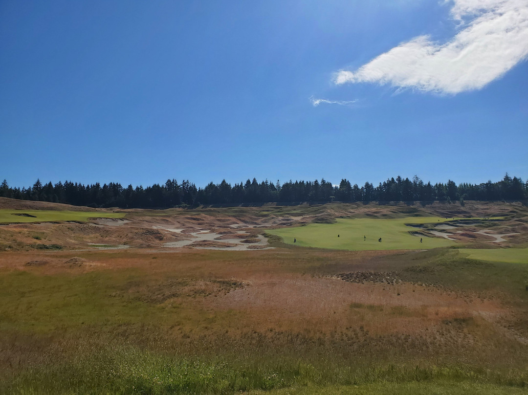Chambers Bay-University Place必去景点