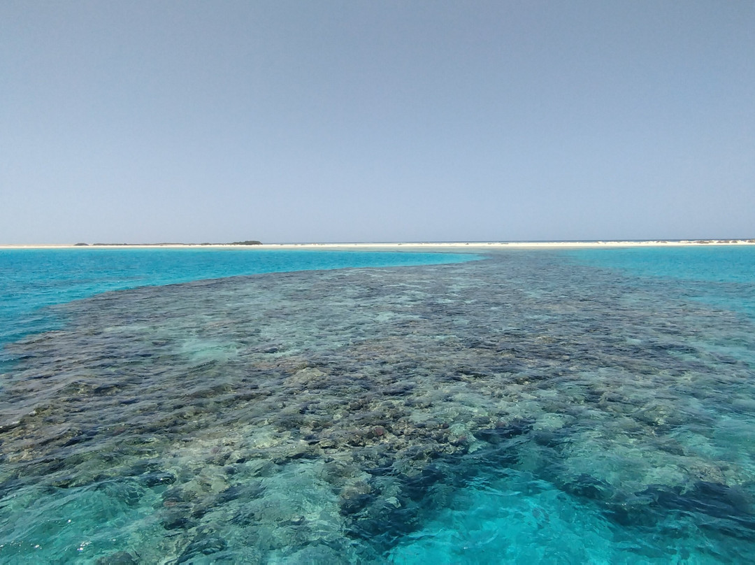 Wadi El Gemal National Park-马萨阿拉姆必去景点