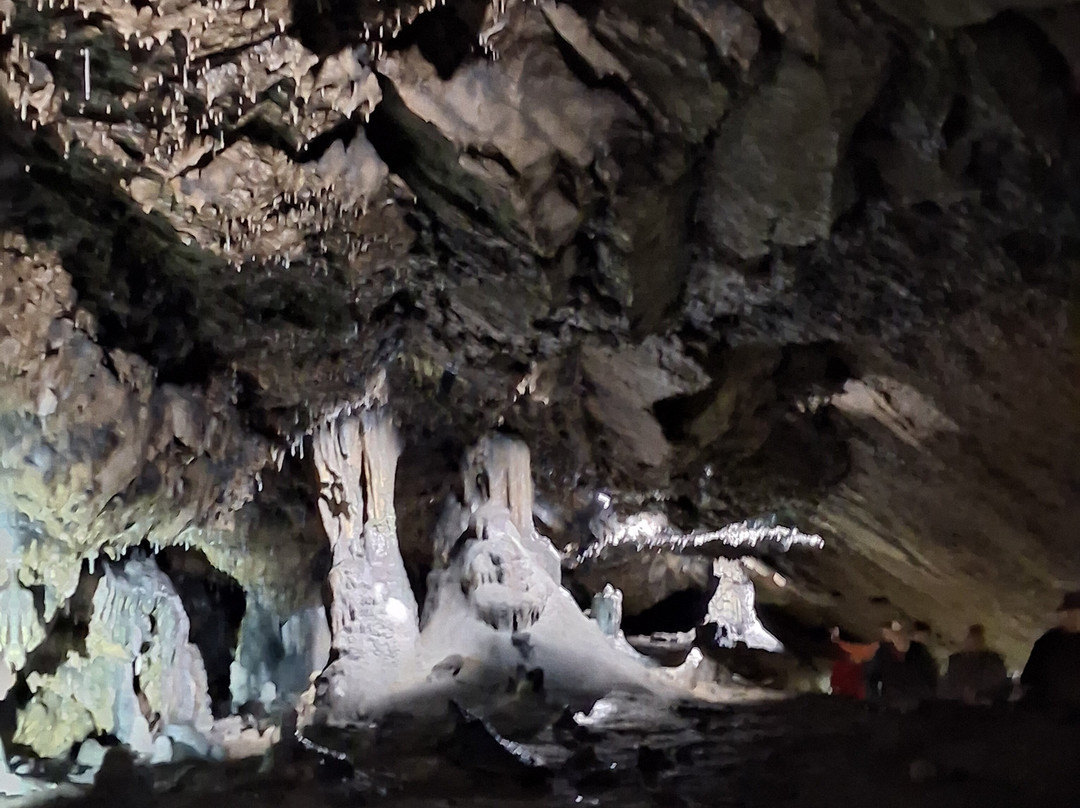 Domaine Des Grottes De Han-Han-sur-Lesse必去景点
