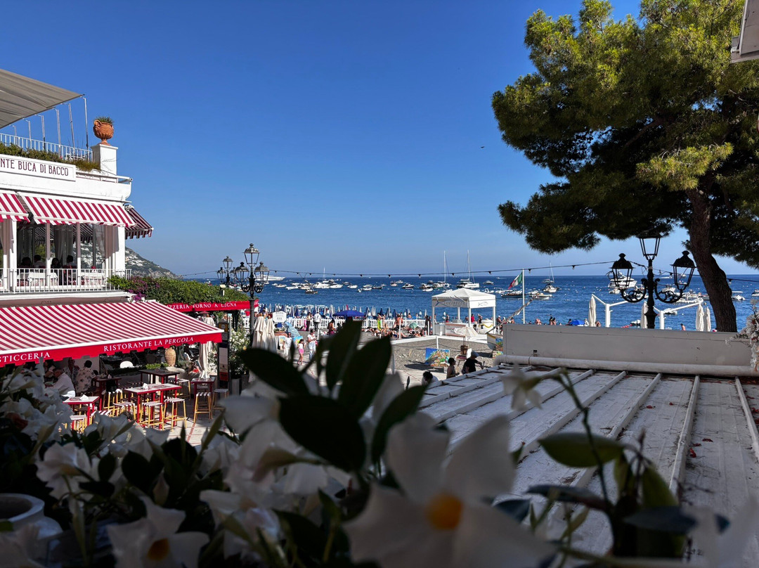 Tenuta Coppola