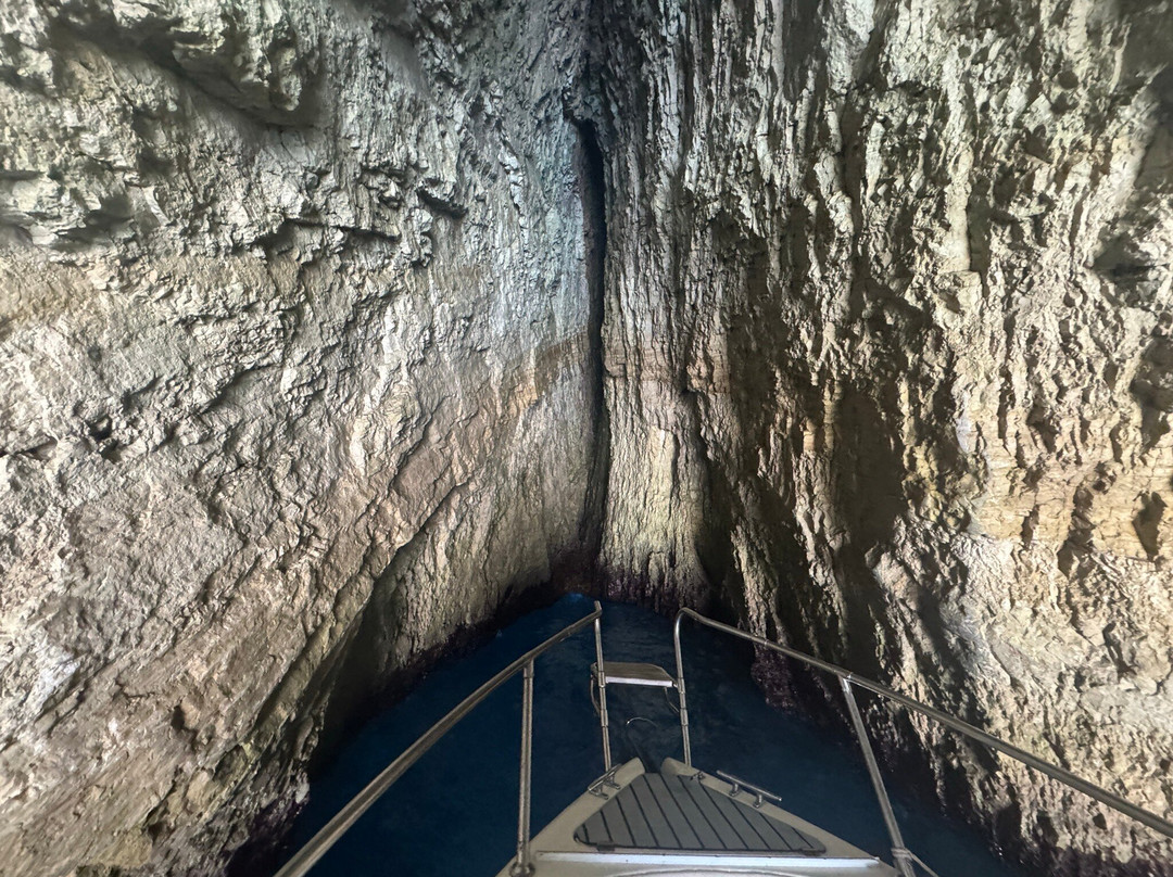 Zante Vipboats-阿雷克斯必去景点