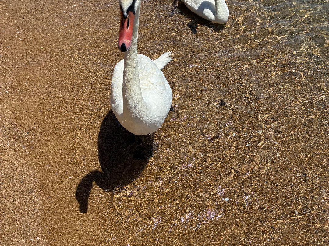 Agia Paraskevi Beach-Platanias必去景点