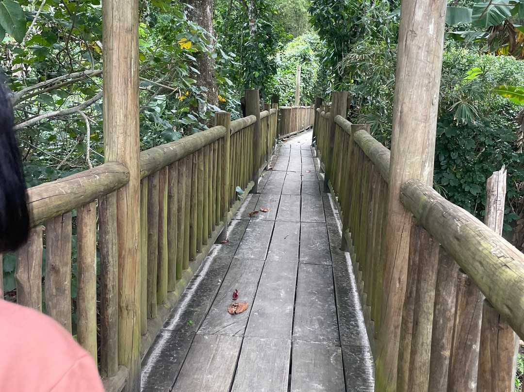 Dagami Tour Ilhabela-伊利亚贝拉必去景点