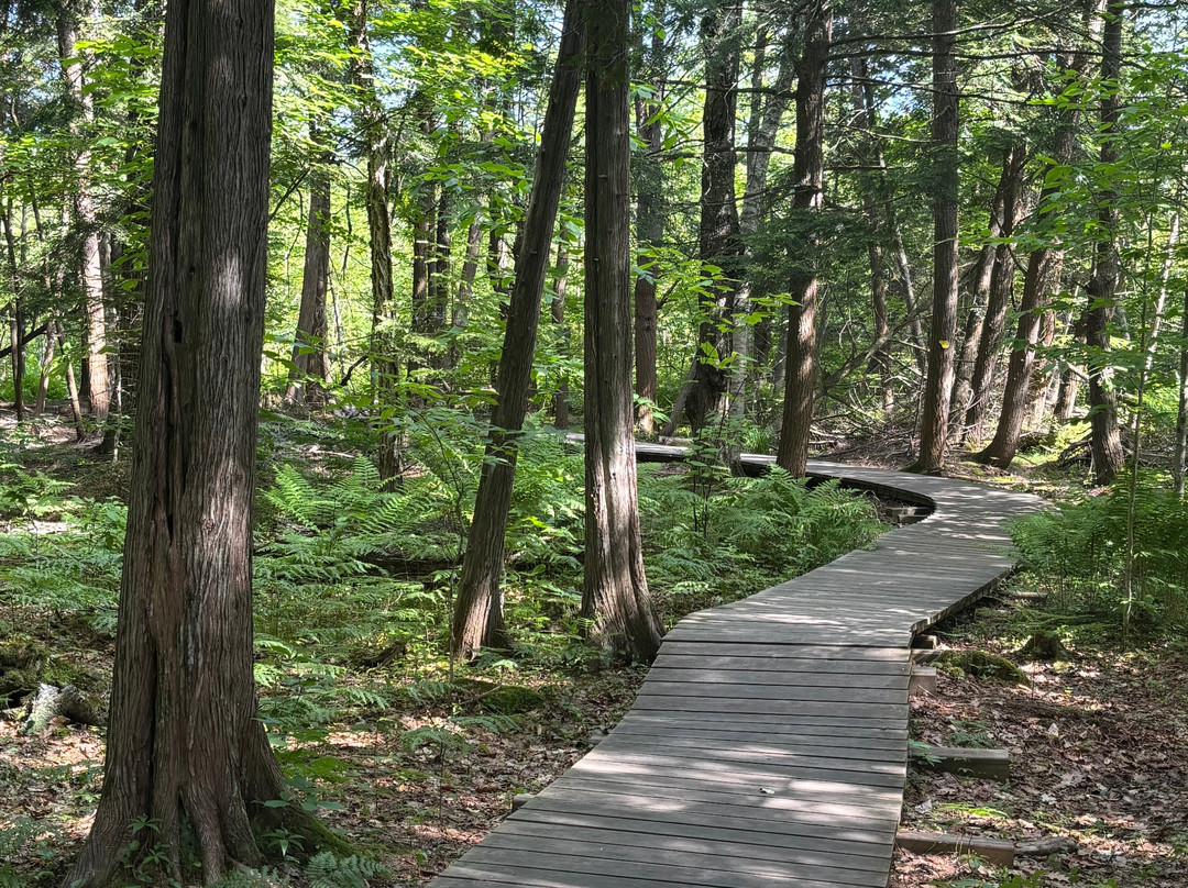 Killbear Provincial Park-Nobel必去景点