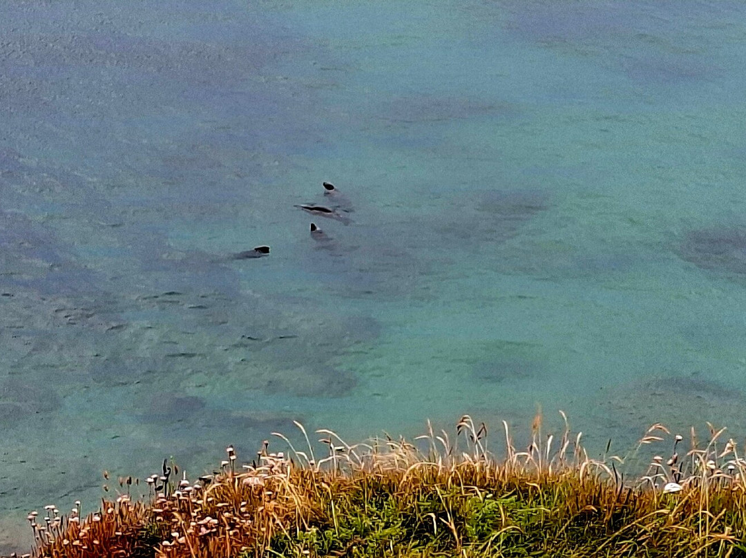 Cap Gris-Nez-Audinghen必去景点