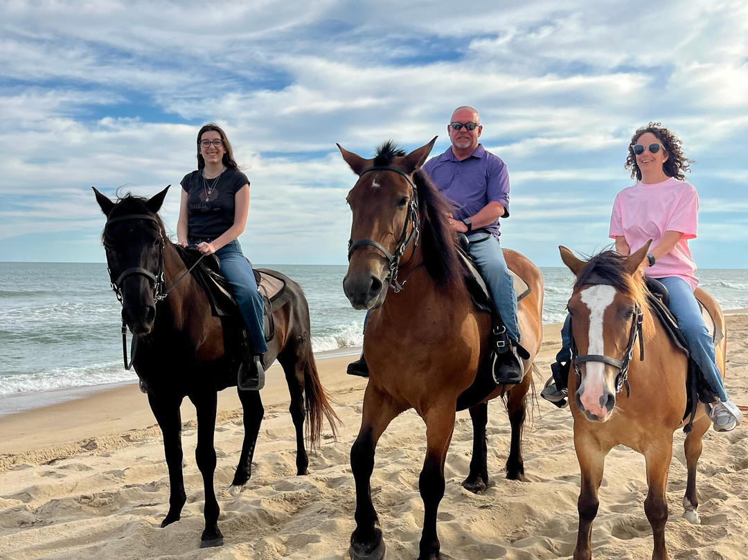 Equine Adventures-Frisco必去景点
