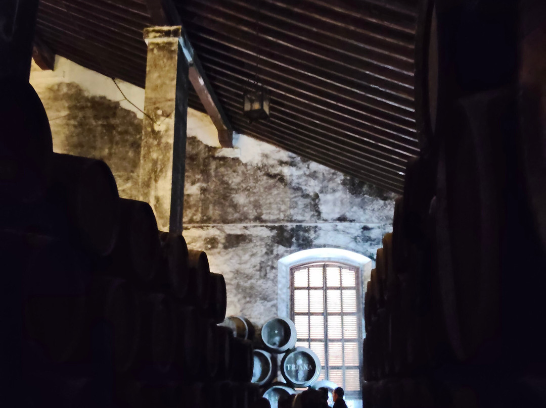 Bodegas Hidalgo La Gitana-Sanlucar de Barrameda必去景点