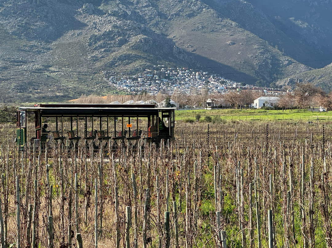 Franschhoek Wine Tram-法兰舒克必去景点