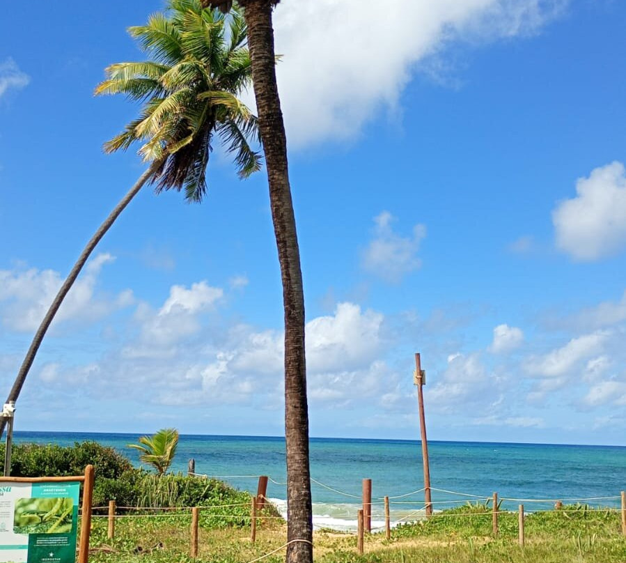 Iberostar Waves Bahia - All Inclusive主图