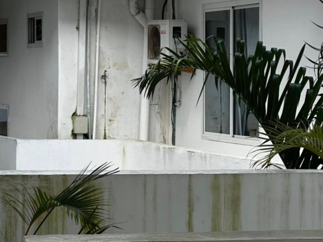 Sunseabar Beach Hotel Kendwa主图