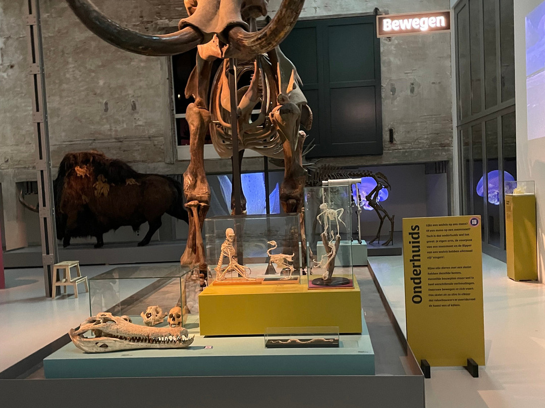 De Museumfabriek-恩斯赫德必去景点