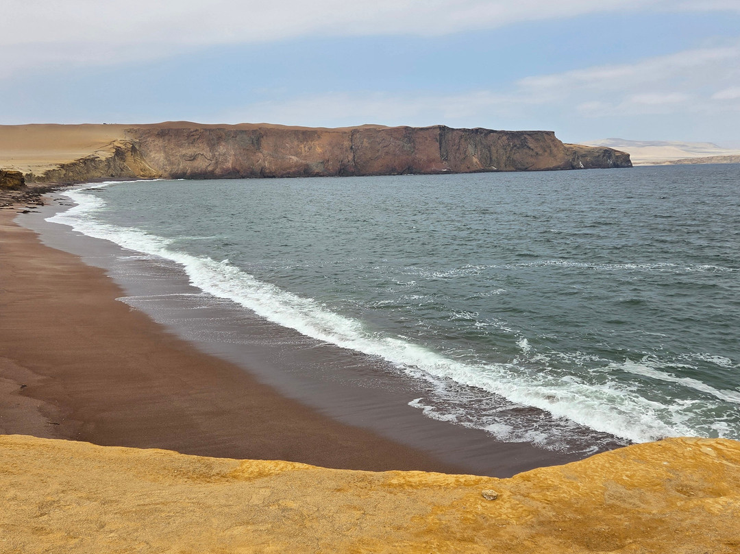 Rainforest Reef Escape | Small Group Eco-Adventures-Cabo Matapalo必去景点