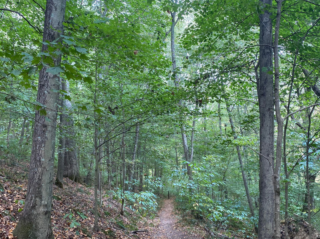 Rockbridge State Nature Preserve-Rockbridge必去景点
