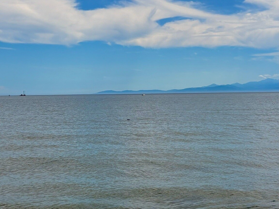 Esquimalt Lagoon Migratory Bird Sanctuary-Colwood必去景点