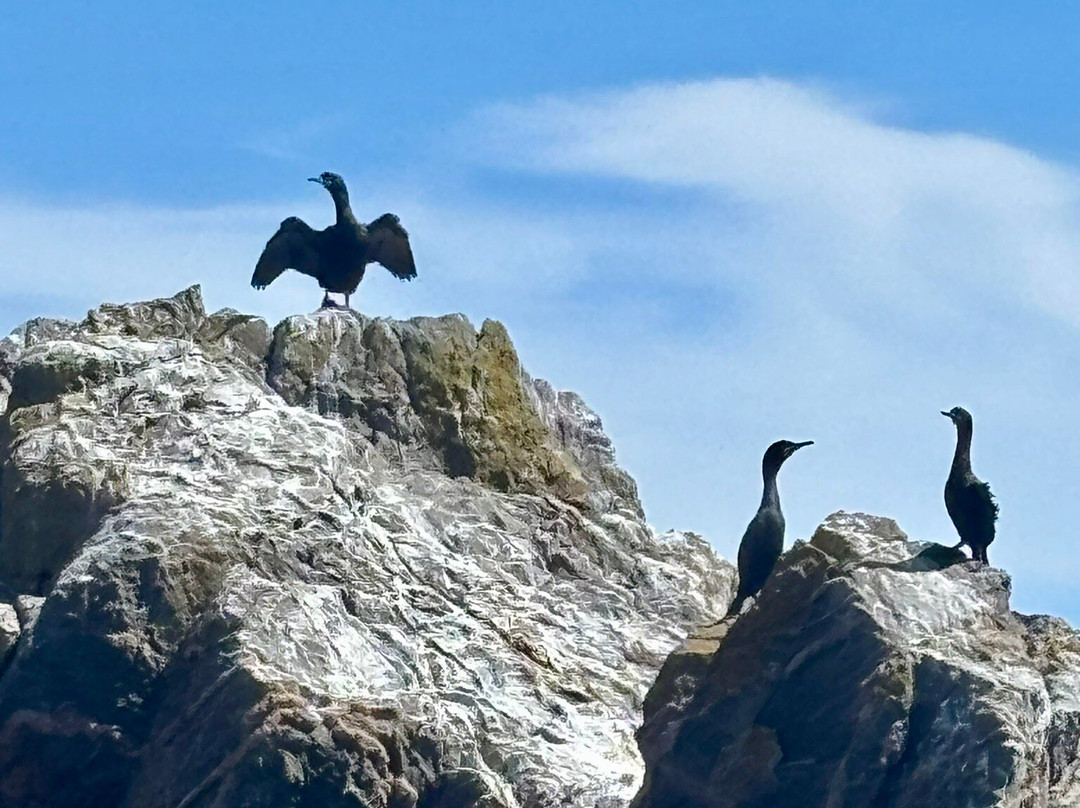 Sark Boat Trips-Sark必去景点