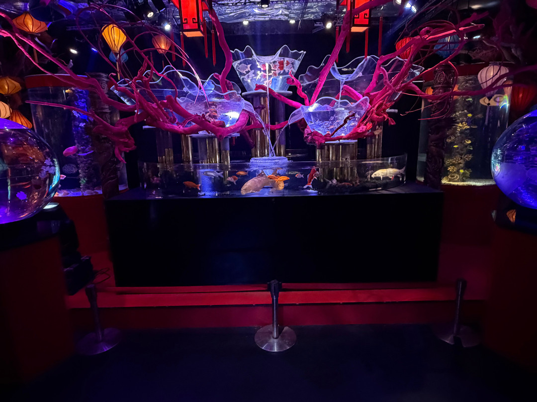 Uws Aquarium Ga Kyo
