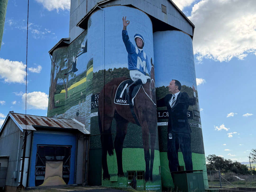 Silo Art Dunedoo-Dunedoo必去景点