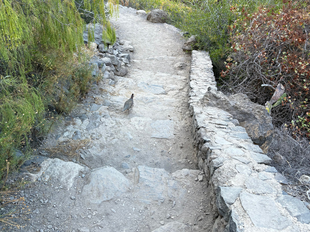 Barranco Del Infierno-奥德杰海岸必去景点