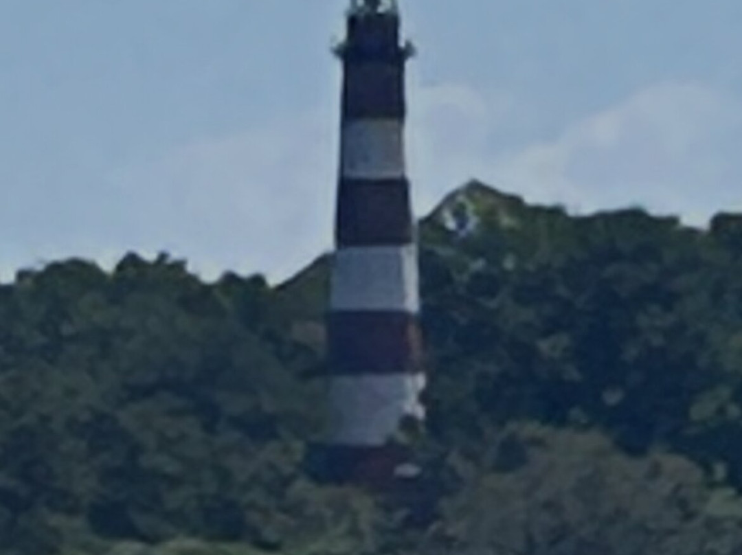 Riptide Pony Tours-Chincoteague必去景点