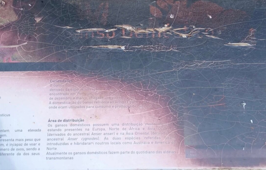 Parque Biologico de Vinhais-Vinhais必去景点