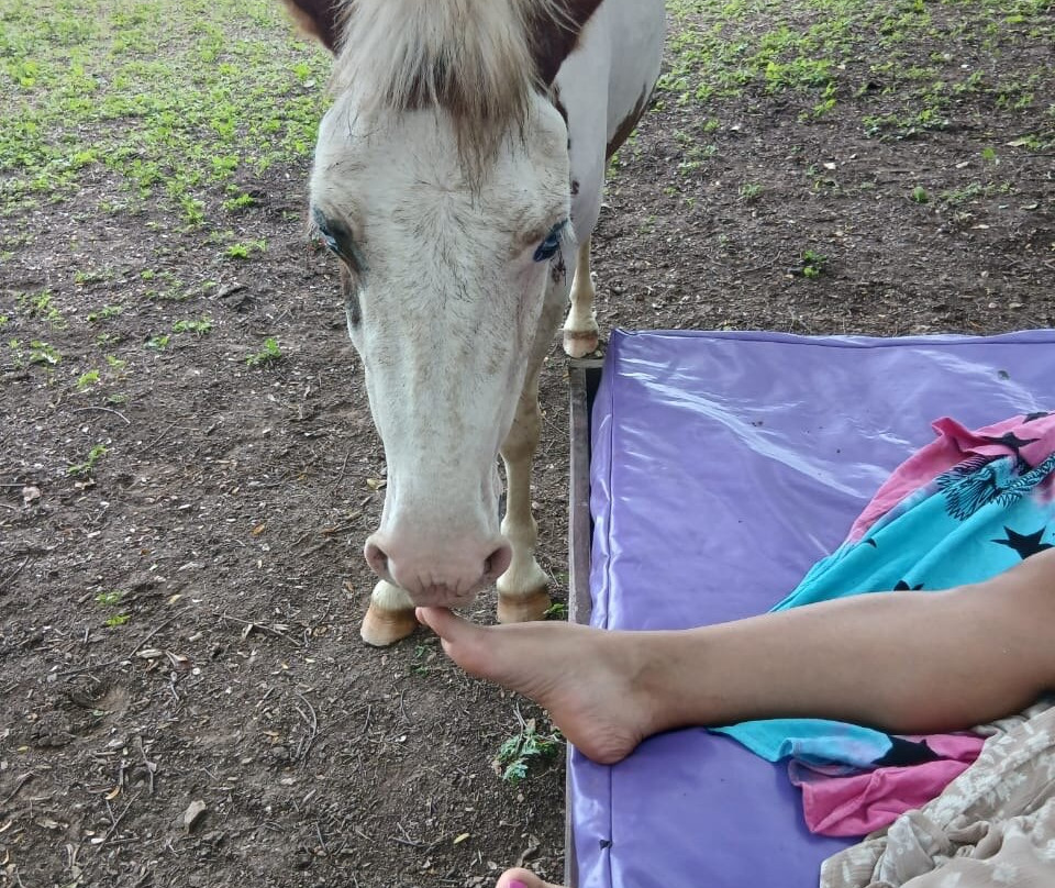 Horse Spirit Healing-Cabuya必去景点