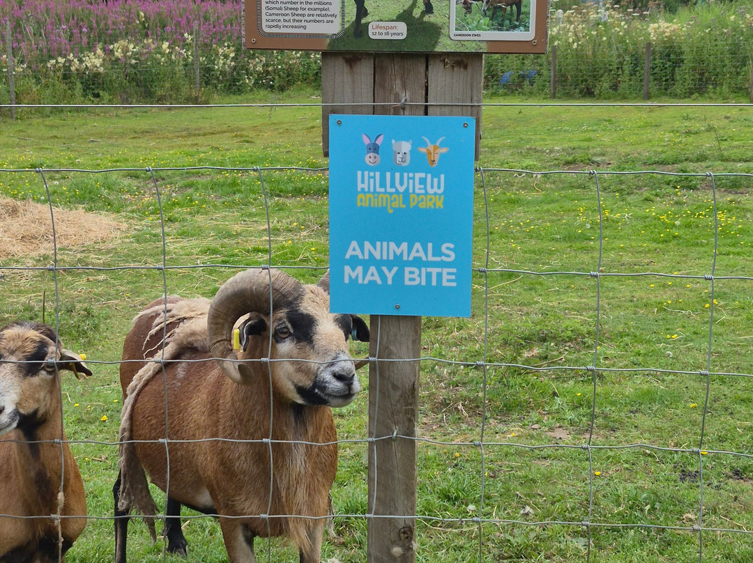 Hillview Animal Park-Alloa必去景点