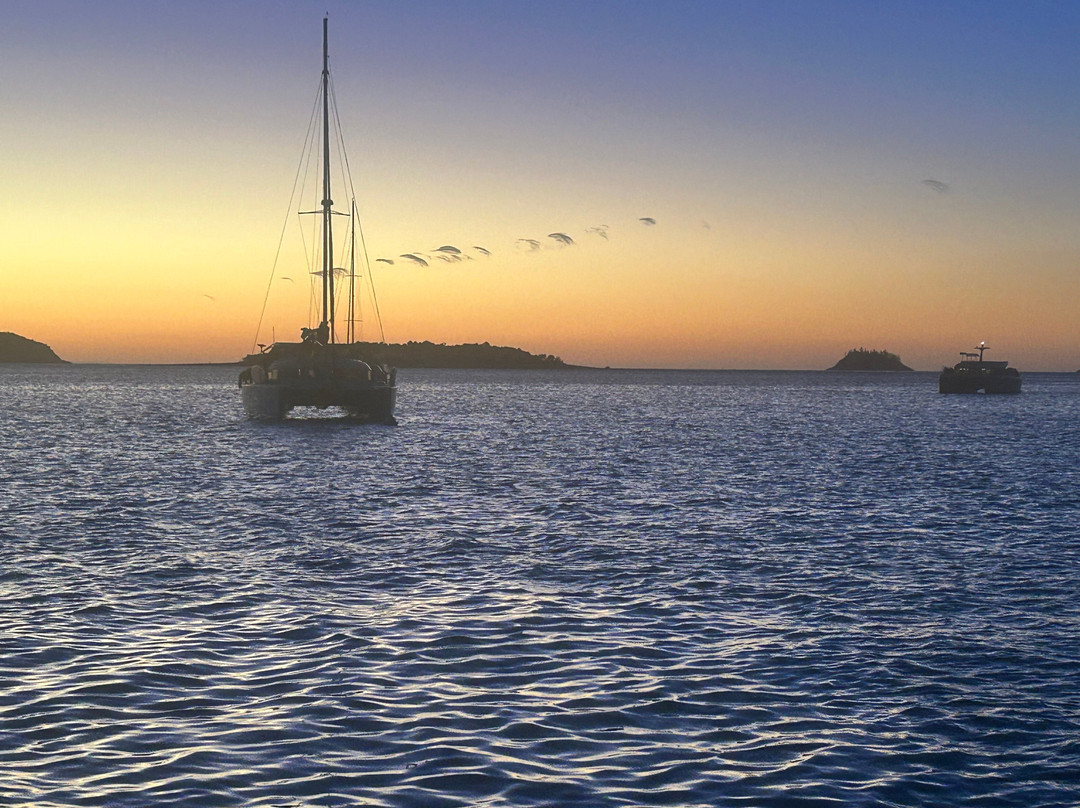 Whitsunday Rent A Yacht-艾尔利滩必去景点