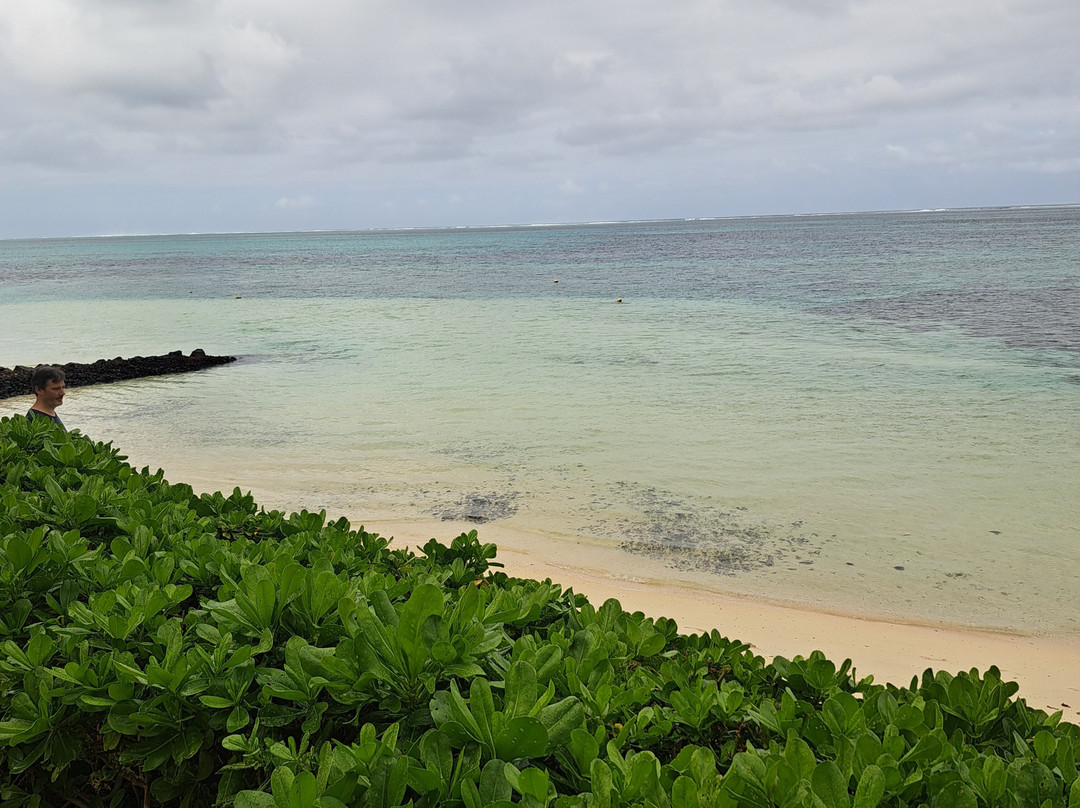 Nou Taxi Mauritius-蓝湾必去景点