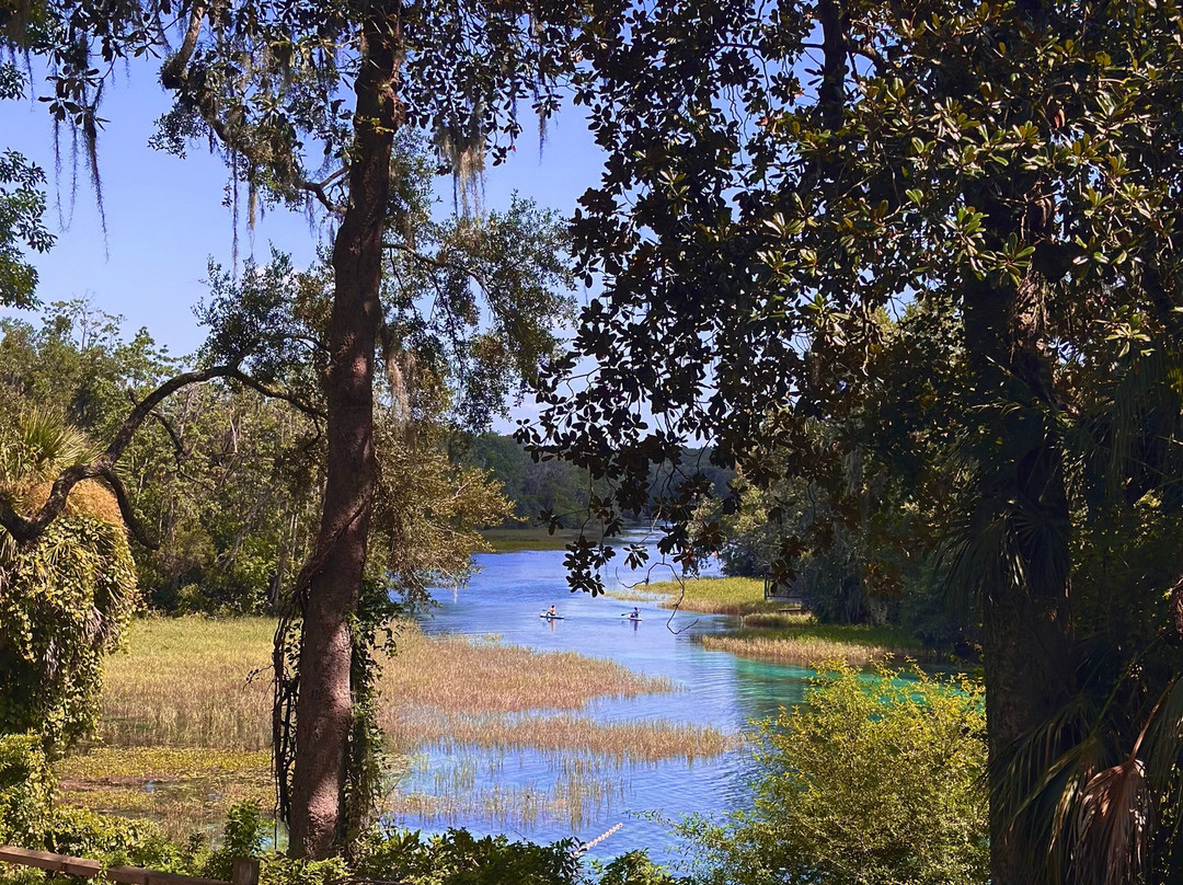 Rainbow Springs State Park-Dunnellon必去景点
