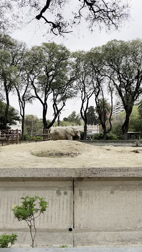 Eco Parque-布宜诺斯艾利斯必去景点