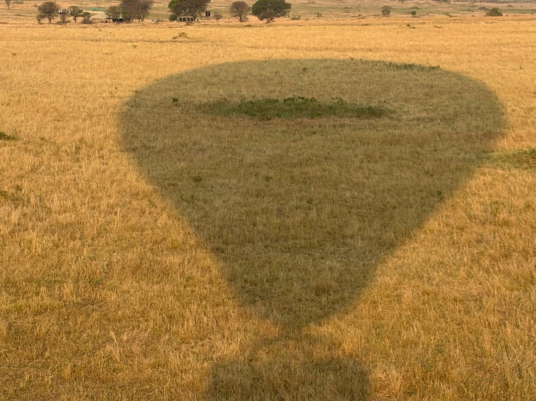 Serengeti Balloon Safaris-塞伦盖蒂国家公园必去景点