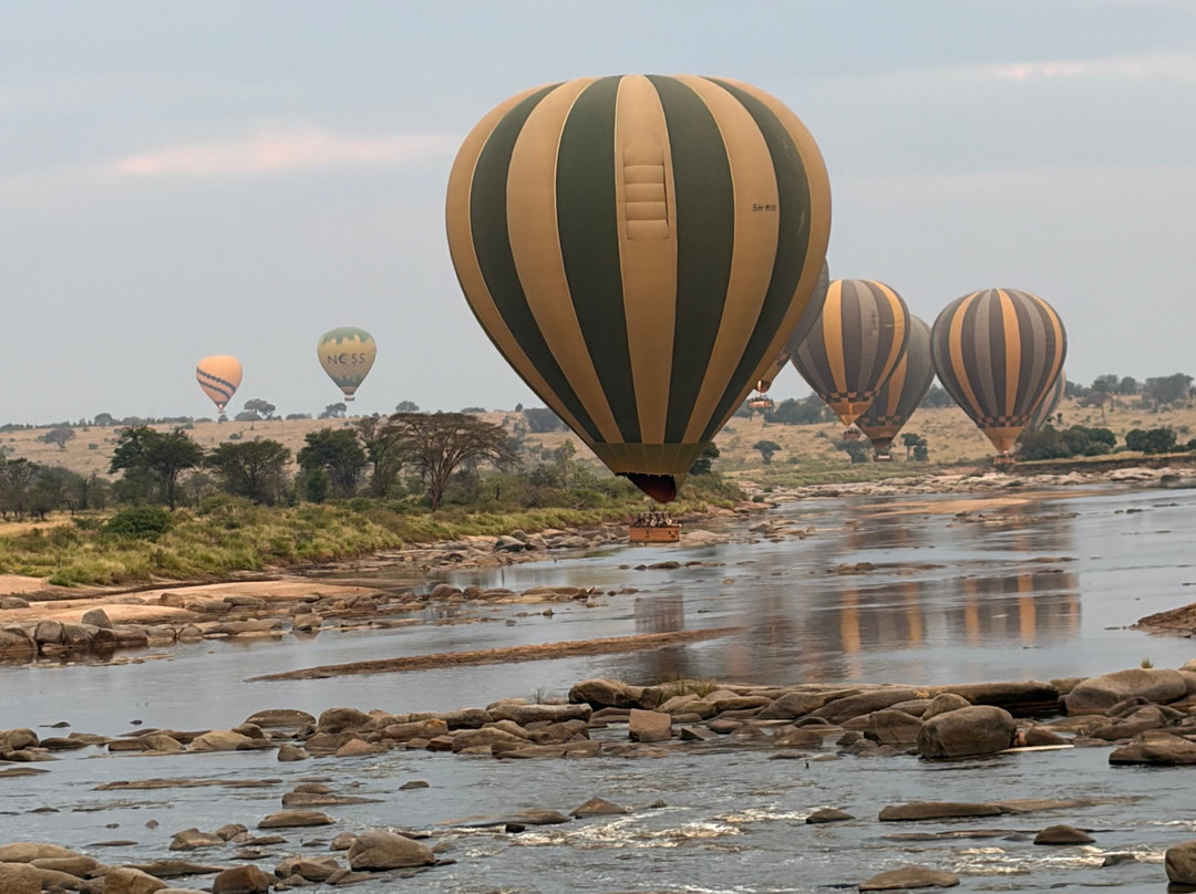 Serengeti Balloon Safaris-塞伦盖蒂国家公园必去景点
