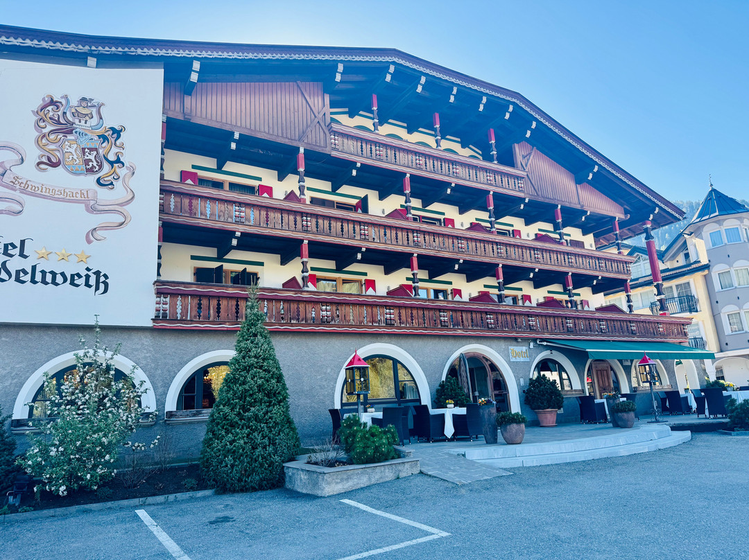 Hotel Edelweiss主图