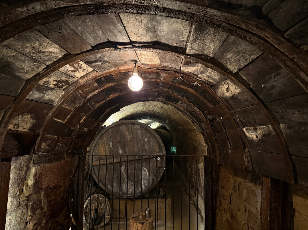 La Bodega del Tesoro-Cuzcurrita de Rio Tiron必去景点