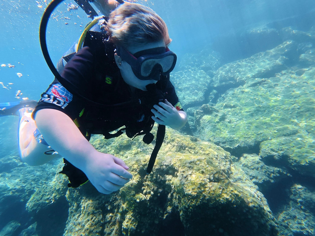 DP Diving-Alsancak - Karavas必去景点