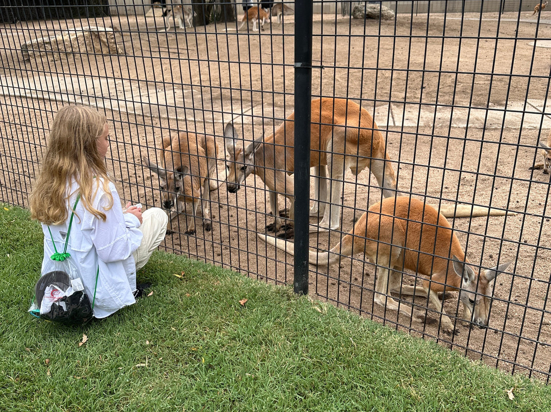 Tanganyika Wildlife Park-Goddard必去景点