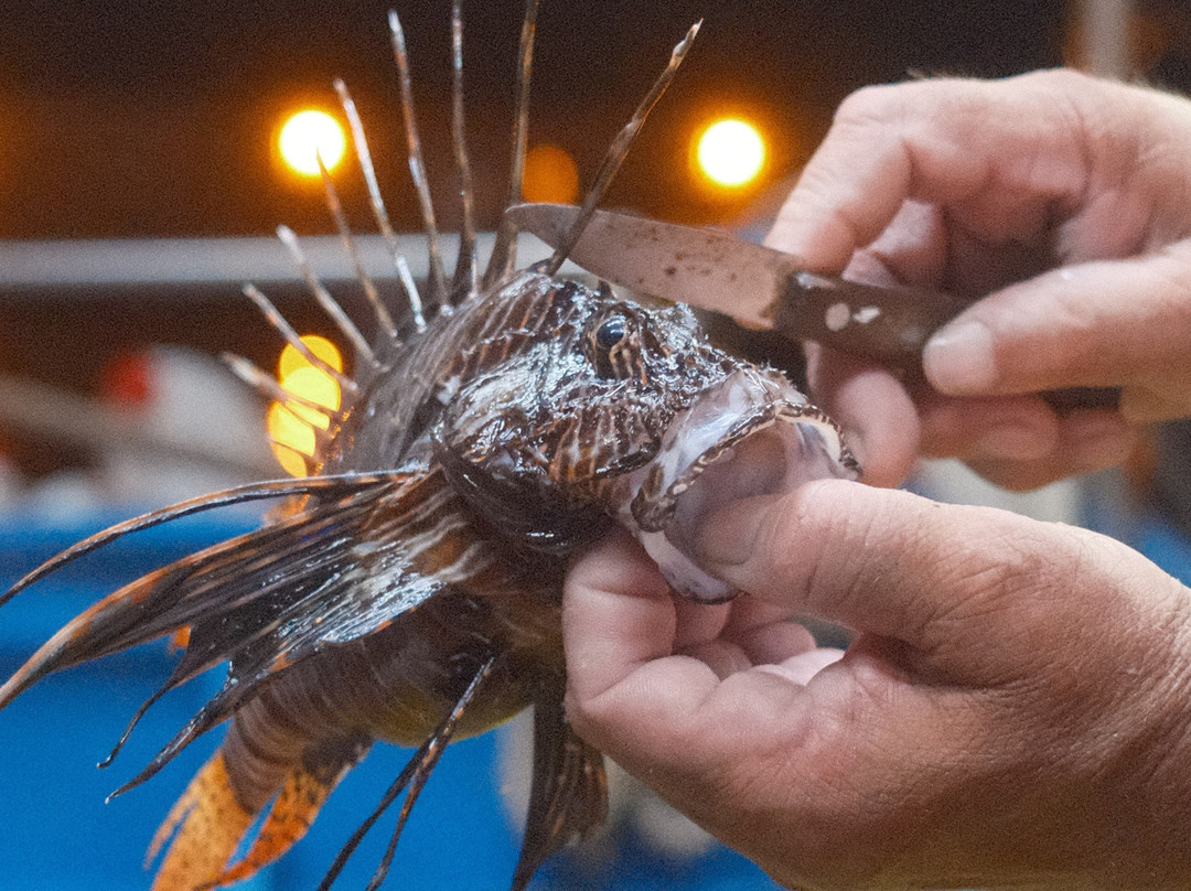 Agapi Traditional Fishing Trips-Limenas Chersonisou必去景点