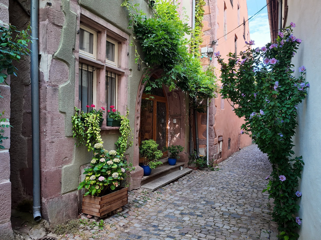 Village de Riquewihr-利克威尔必去景点
