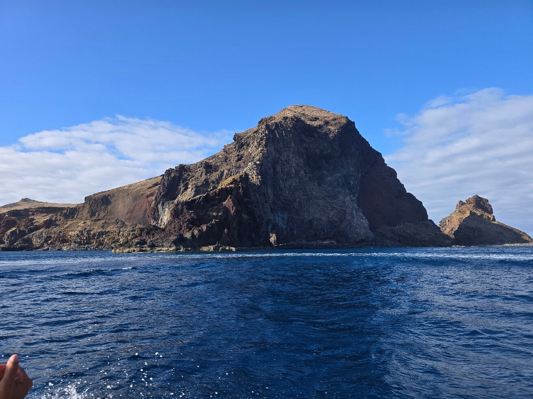Madeira Sea Emotions Boat Tours-卡尼卡尔必去景点