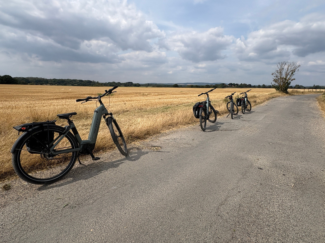 Southern eBike Rentals-Petersfield必去景点
