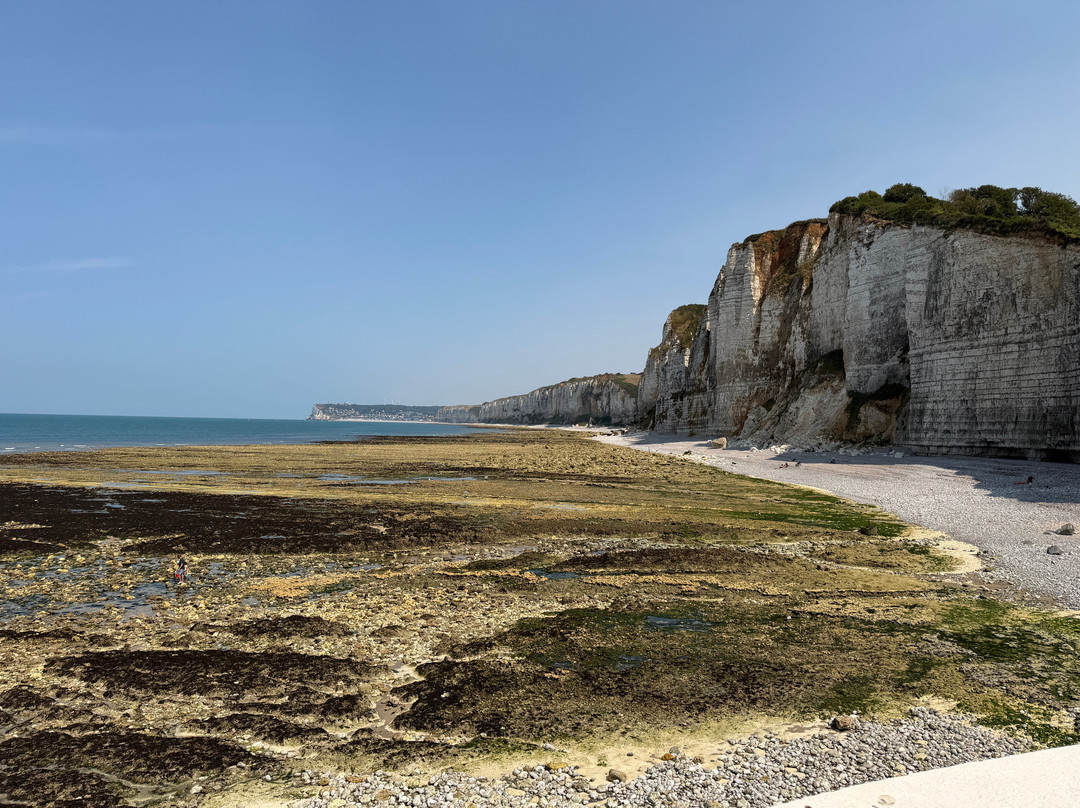 Plage-Baignade Yport-Yport必去景点