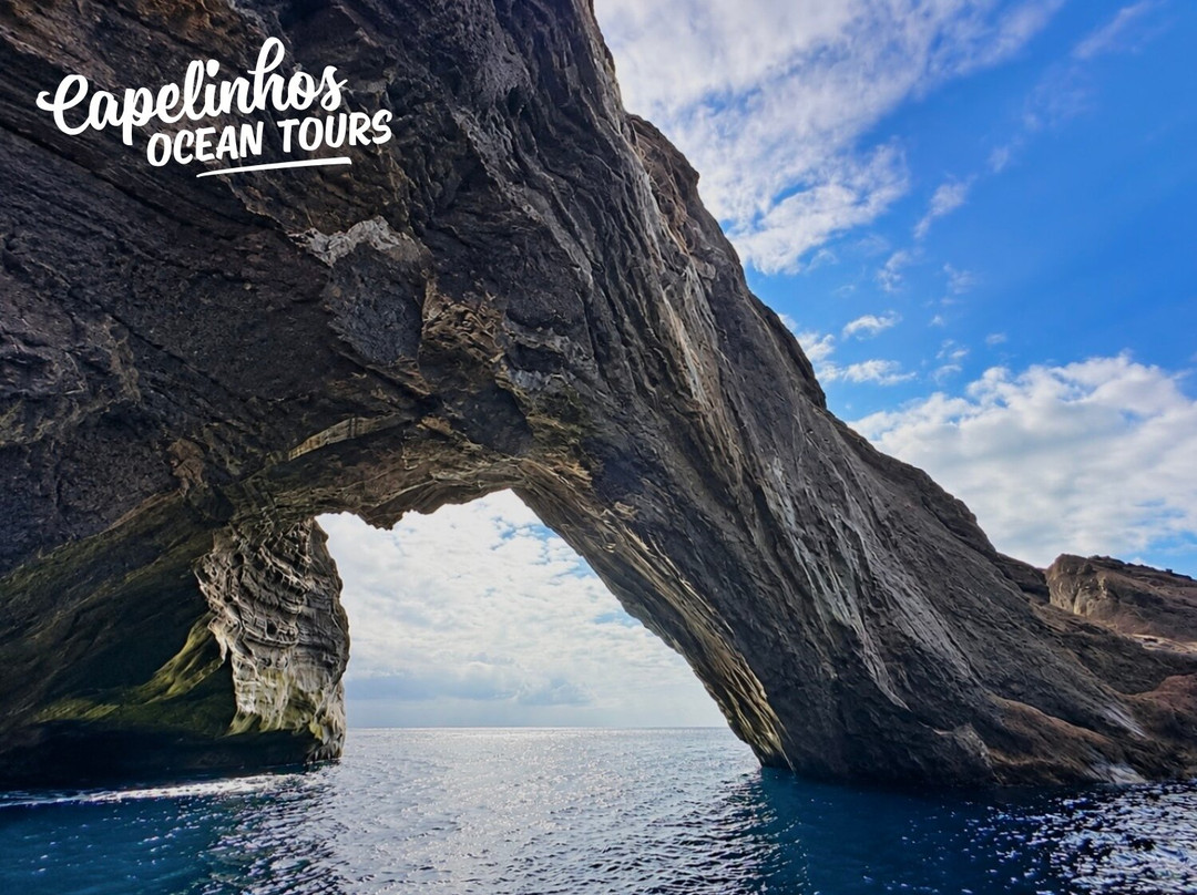 Capelinhos Ocean Tours