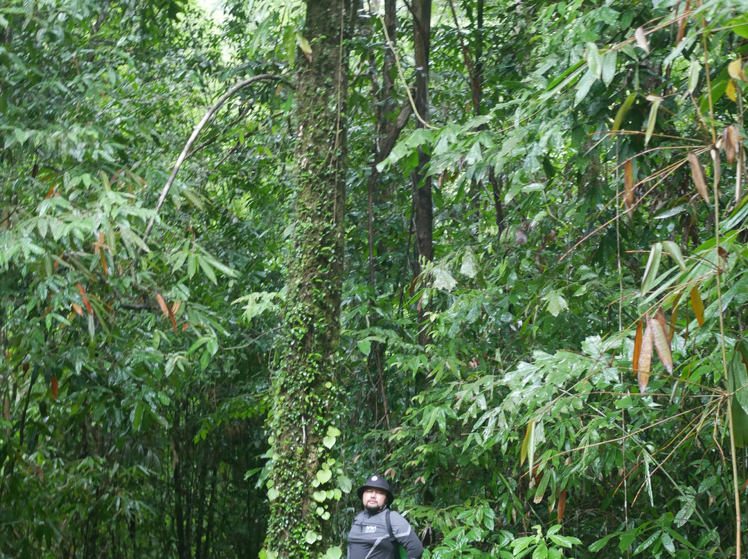 Tam Nang Waterfall-攀牙必去景点