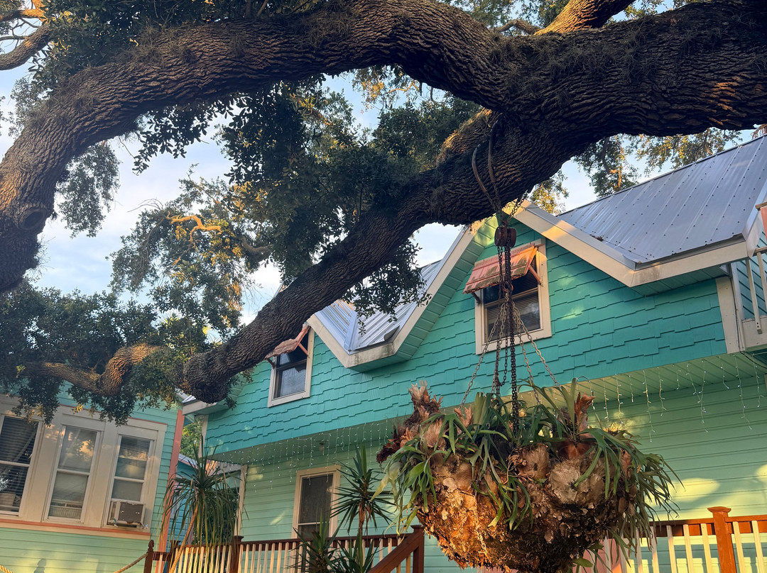 Cedar Key Bed and Breakfast主图