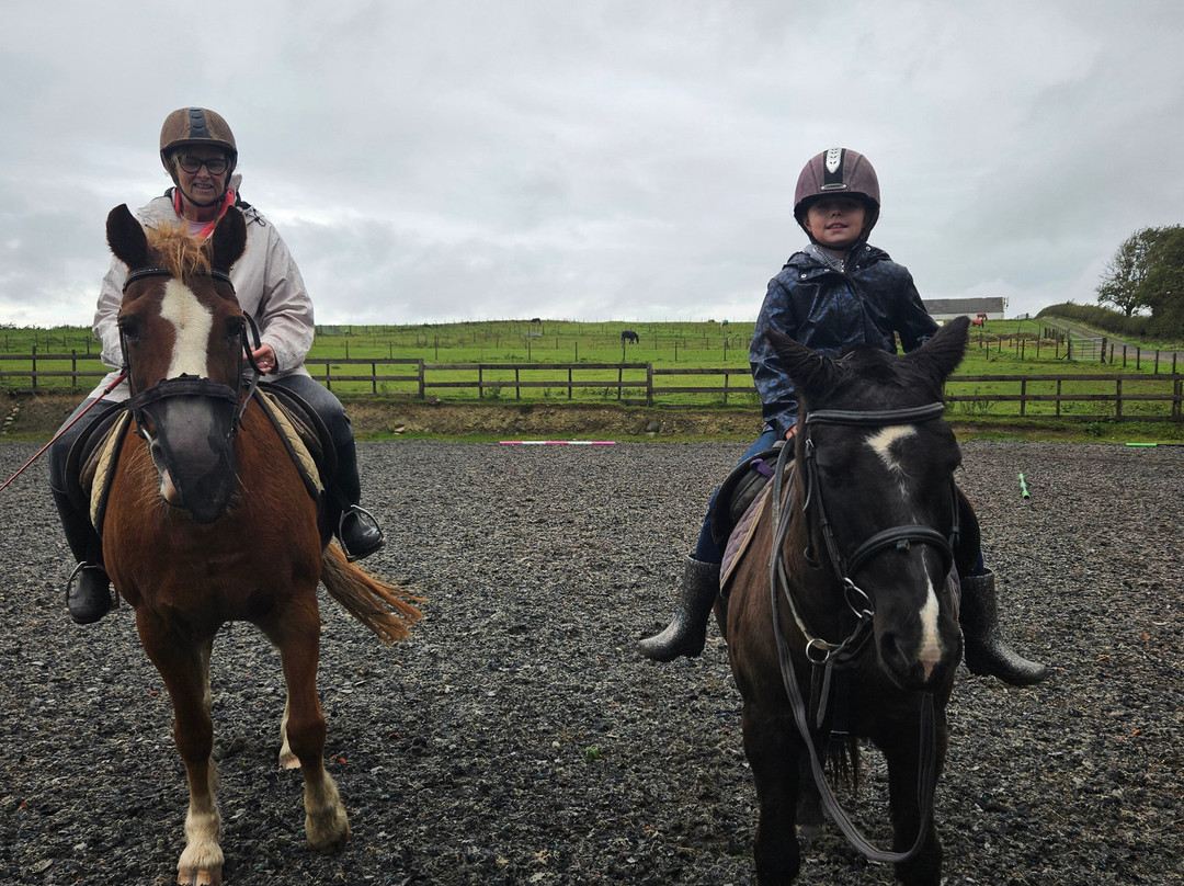 Parkers Riding School-Cockermouth必去景点