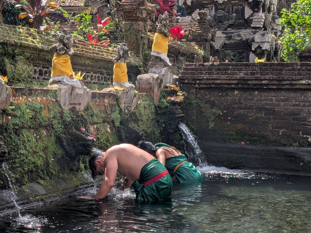 Best Ubud Driver-乌布必去景点
